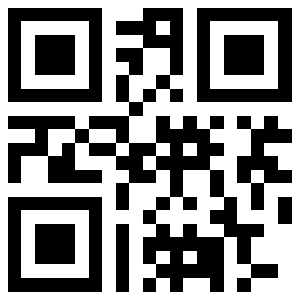 QR 2110281593